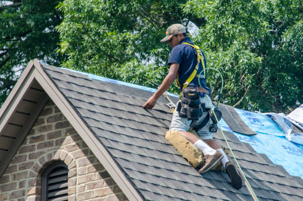 Best Roof Gutter Cleaning  in Jackson, CA